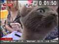 Смотреть видео